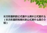 长方形面积的公式是什么周长公式是什么（长方形面积和周长的公式是什么简介介绍）