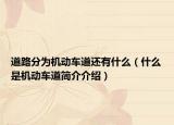 道路分为机动车道还有什么（什么是机动车道简介介绍）