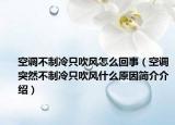 空调不制冷只吹风怎么回事（空调突然不制冷只吹风什么原因简介介绍）