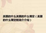 美丽的什么美丽的什么填空（美丽的什么填空题简介介绍）