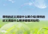 领悟的近义词是什么呢介绍(领悟的近义词是什么呢详细情况如何)