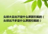头部大量出汗是什么原因引起的（头部出汗多是什么原因引起的）