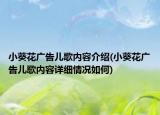 小葵花广告儿歌内容介绍(小葵花广告儿歌内容详细情况如何)