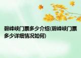 碧峰峡门票多少介绍(碧峰峡门票多少详细情况如何)