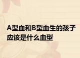 A型血和B型血生的孩子应该是什么血型