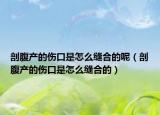 剖腹产的伤口是怎么缝合的呢（剖腹产的伤口是怎么缝合的）