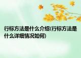 行标方法是什么介绍(行标方法是什么详细情况如何)