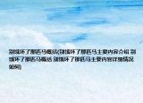 别饿坏了那匹马概括(别饿坏了那匹马主要内容介绍 别饿坏了那匹马概括 别饿坏了那匹马主要内容详细情况如何)