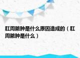 肛周脓肿是什么原因造成的（肛周脓肿是什么）