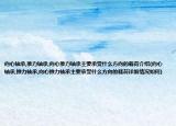 向心轴承,推力轴承,向心推力轴承主要承受什么方向的载荷介绍(向心轴承,推力轴承,向心推力轴承主要承受什么方向的载荷详细情况如何)