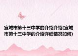 宣城市第十三中学的介绍介绍(宣城市第十三中学的介绍详细情况如何)