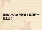 耳朵进水怎么办教案（耳朵进水怎么办）