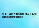 电子厂公司有哪些介绍(电子厂公司有哪些详细情况如何)