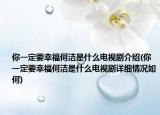你一定要幸福何洁是什么电视剧介绍(你一定要幸福何洁是什么电视剧详细情况如何)
