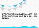 正大综艺墙来了落水时的(歌曲 是什么  在线等~~介绍 正大综艺墙来了落水时的 歌曲 是什么  在线等~~详细情况如何)