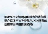 BMW740有AUXIN吗有的话在哪里介绍(BMW740有AUXIN吗有的话在哪里详细情况如何)