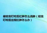 被蚊虫叮咬后红肿怎么消肿（蚊虫叮咬后出现红肿怎么办）