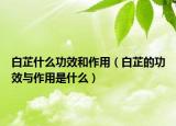 白芷什么功效和作用（白芷的功效与作用是什么）