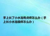 手上长了小水泡有点痒怎么办（手上长小水泡很痒怎么办）