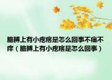 胳膊上有小疙瘩是怎么回事不痛不痒（胳膊上有小疙瘩是怎么回事）