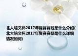 北大培文杯2017年复赛赛题是什么介绍(北大培文杯2017年复赛赛题是什么详细情况如何)