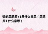 请问尿胆原+1是什么意思（尿胆原1 什么意思）
