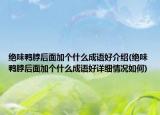 绝味鸭脖后面加个什么成语好介绍(绝味鸭脖后面加个什么成语好详细情况如何)