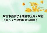 耳垂下面长了个硬包怎么办（耳垂下面长了个硬包是怎么回事）