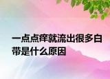 一点点痒就流出很多白带是什么原因