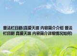 普法栏目剧(真爱天涯 内容简介介绍 普法栏目剧 真爱天涯 内容简介详细情况如何)