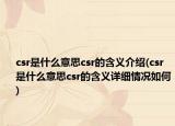 csr是什么意思csr的含义介绍(csr是什么意思csr的含义详细情况如何)