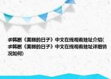 求韩剧《美丽的日子》中文在线观看地址介绍(求韩剧《美丽的日子》中文在线观看地址详细情况如何)