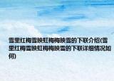 雪里红梅雪映虹梅梅映雪的下联介绍(雪里红梅雪映虹梅梅映雪的下联详细情况如何)