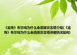 《龙珠》布尔玛为什么会选择贝吉塔介绍(《龙珠》布尔玛为什么会选择贝吉塔详细情况如何)