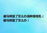 被马蜂蛰了怎么办消肿用母乳（被马蜂蛰了怎么办）
