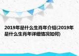 2019年是什么生肖年介绍(2019年是什么生肖年详细情况如何)