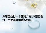 声东击西打一个生肖介绍(声东击西打一个生肖详细情况如何)