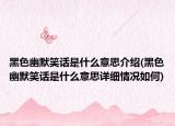 黑色幽默笑话是什么意思介绍(黑色幽默笑话是什么意思详细情况如何)