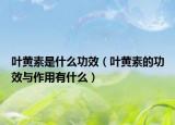 叶黄素是什么功效（叶黄素的功效与作用有什么）