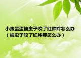 小孩蛋蛋被虫子咬了红肿痒怎么办（被虫子咬了红肿痒怎么办）