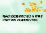 有关于团结的谚语(5条介绍 有关于团结的谚语 5条详细情况如何)