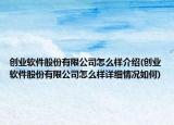 创业软件股份有限公司怎么样介绍(创业软件股份有限公司怎么样详细情况如何)