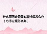 什么原因会导致心率过缓怎么办（心率过缓怎么办）