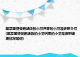 戴拿奥特曼剧场版的小羽归来的小羽是谁啊介绍(戴拿奥特曼剧场版的小羽归来的小羽是谁啊详细情况如何)