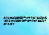 用简洁的流程图概括臭氧分子受破坏的过程介绍(用简洁的流程图概括臭氧分子受破坏的过程详细情况如何)