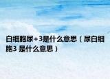 白细胞尿+3是什么意思（尿白细胞3 是什么意思）