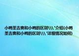 小鸭圣吉奥和小鸭的区别\