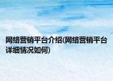 网络营销平台介绍(网络营销平台详细情况如何)