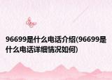 96699是什么电话介绍(96699是什么电话详细情况如何)