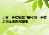 小露一手歇后语介绍(小露一手歇后语详细情况如何)
